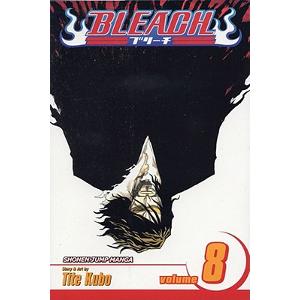 Bleach 08