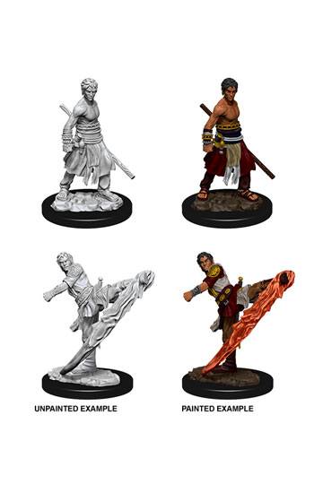 D&D Nolzur's Marvelous Miniatures Unpainted Male Half-Elf Monk