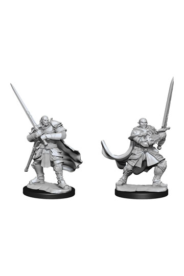 D&D Nolzur's Unpainted Miniatures Half-Orc Paladin Male