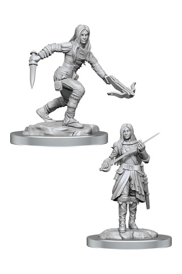 D&D Nolzur's Marvelous Unpainted Miniatures Half-Elf Rogue Femal