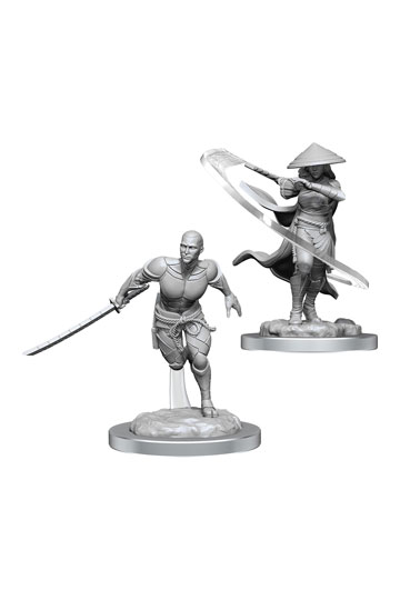 Magic the Gathering Unpainted Miniatures kaito & the Wanderer
