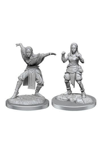 Deep Cuts Unpainted Miniatures Half-Elf Monk Female