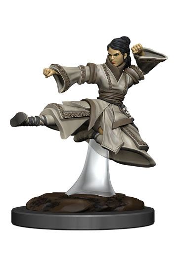 Premium Miniature pre-painted Human Monk Female