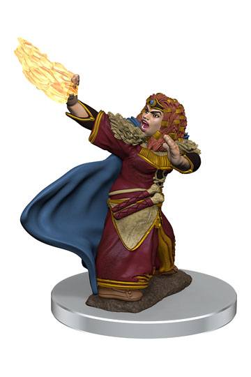 D&D pre-painted Female Dwarf Wizard