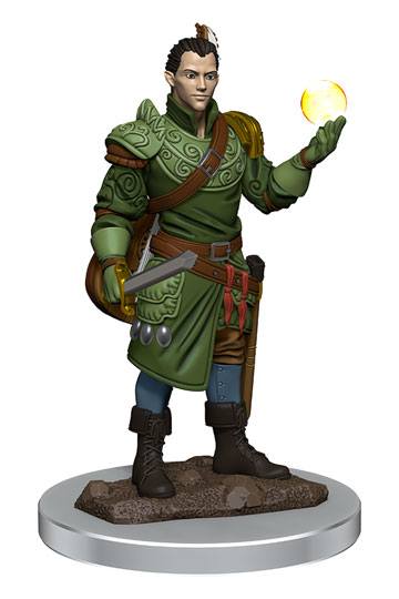 Half-Elf bard