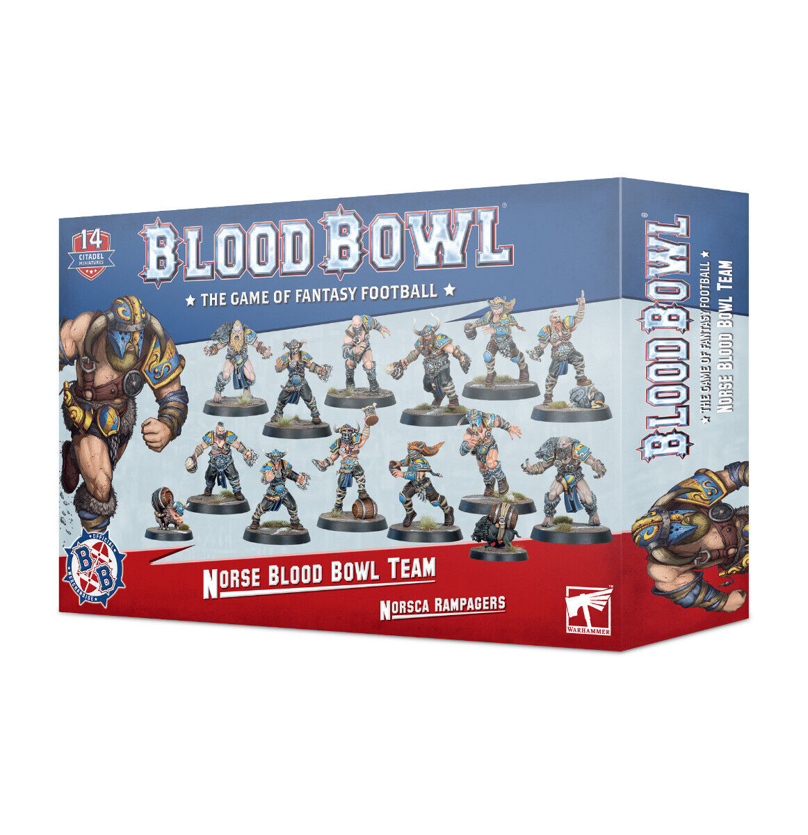 Norse Blood Bowl team